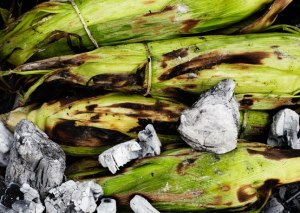 ember-roasted-corn-on-the-cob-646